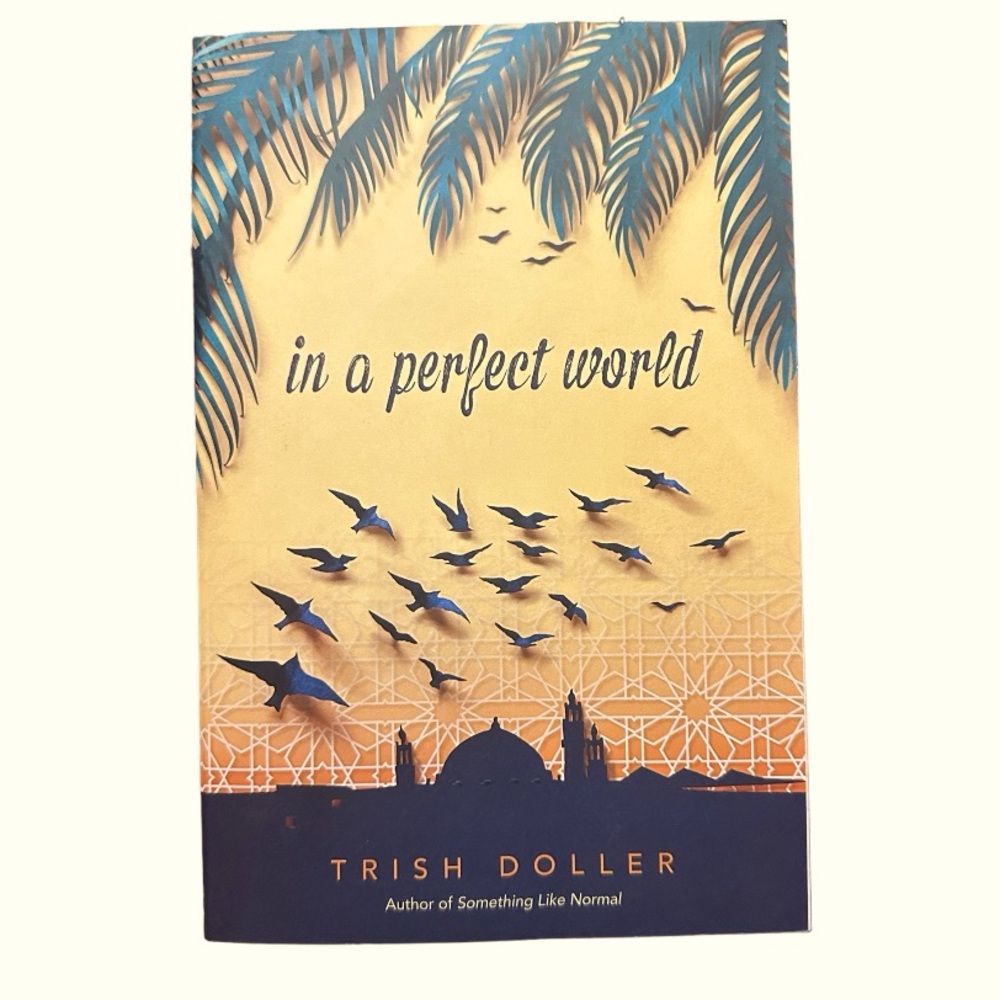 📚In a Perfect World by Trish Doller | Paperback | BRAND NEW*